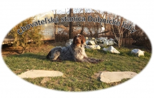 Dubnické lúky