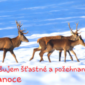 Vianočná...