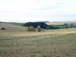 Poľovnícke združenie SNP Dvorec