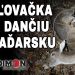 Poľovačkana dančiu v Maďarsku